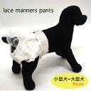 マナーパンツ レース 小型犬用 中型犬 大型犬 犬 お出かけ ペット フォーマル かわいい お揃いコーデ チワワ トイプードル ダックス ゴールデンレトリーバー...