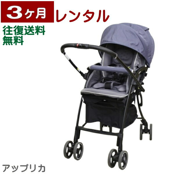 3ヶ月レンタル ラクーナ クッションAB 往復送料無料