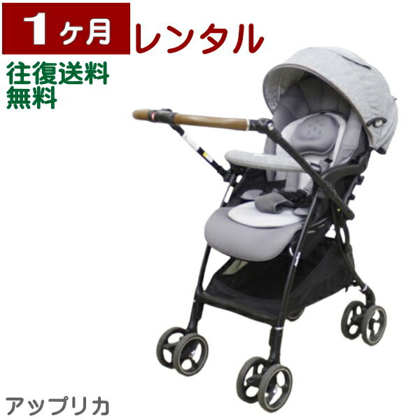 1ヶ月レンタル ラクーナ ビッテ クッション 2021 往復送料無料