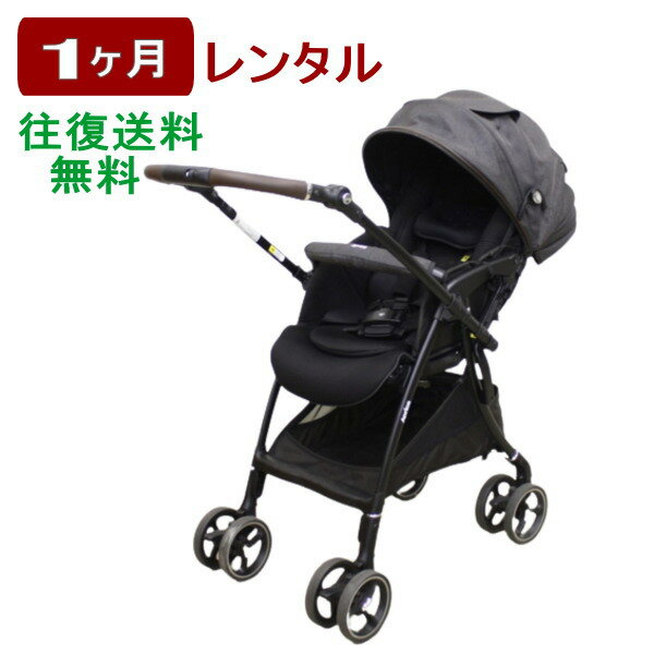 1ヶ月レンタル ラクーナ クッション フリー プラス 往復送料無料