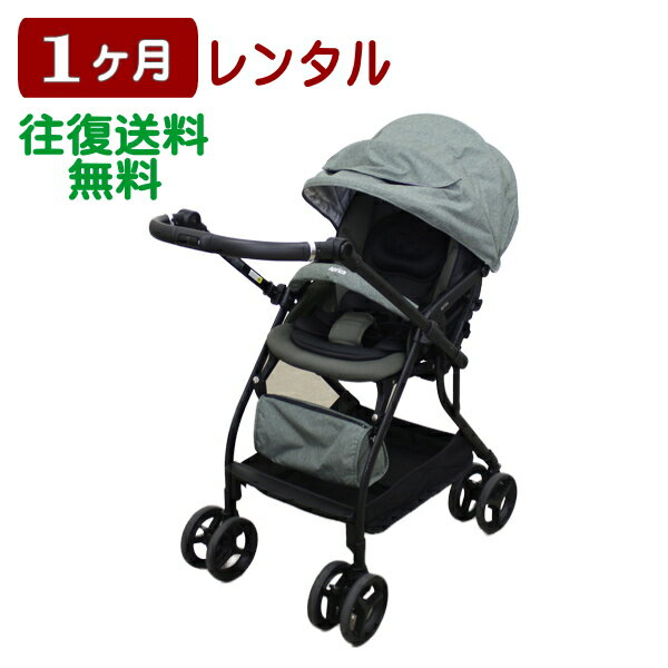 1ヶ月レンタル ルンルン コンパクト 往復送料無料