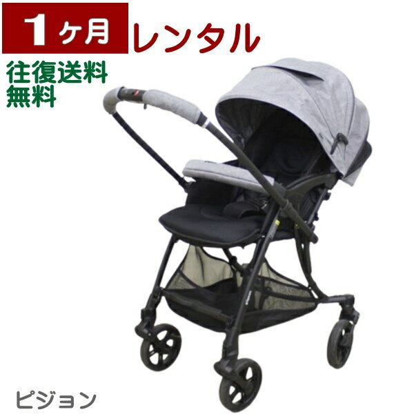 1ヶ月レンタル ランフィ エアリー / Runfee Airy SB2A 往復送料無料