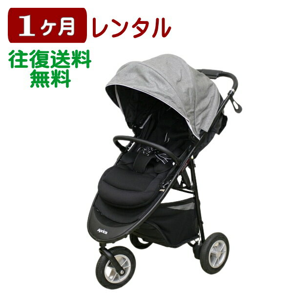 1ヶ月レンタル スムーヴ プレミアム 往復送料無料