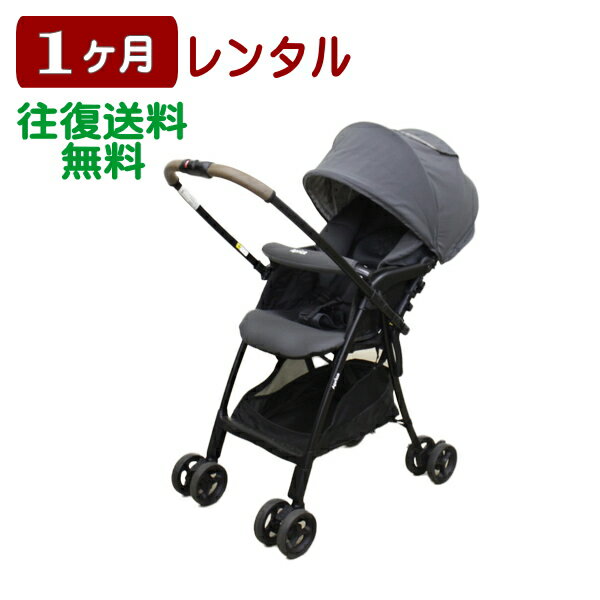 1ヶ月レンタル カルーンエアー メッシュ AB 往復送料無料