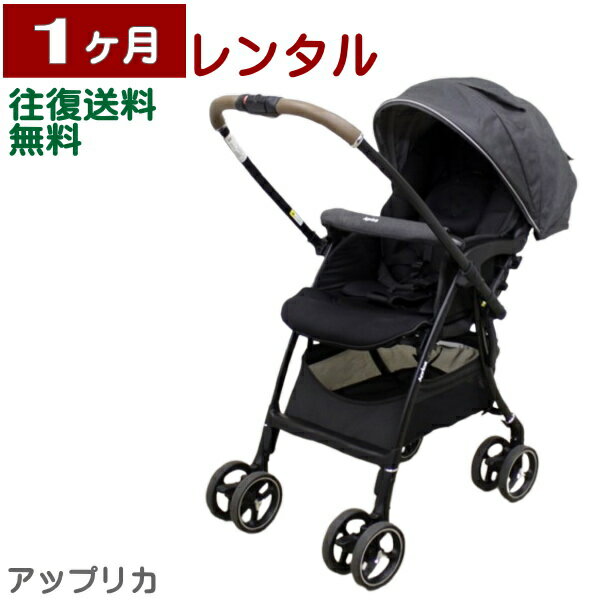 1ヶ月レンタル ラクーナ クッション AE 往復送料無料