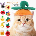 ペットコスプレ用 帽子 ハロウィン 小型犬用 猫用 10タイプ カボチャ 被り物 可愛い コスチューム ペット ハット 着脱簡単 わんちゃん ねこちゃん アクセサリー パーティー クリスマス 記念写真撮影 おもしろい