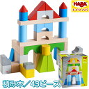 HABA 積み木 ブロックス・カラー・グランドセット 43ピース 対象年齢：1歳〜 305162 40ミリ基尺 プレゼント ギフト 子供 男の子 女の子 積木 つみき