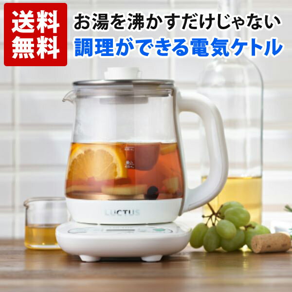 お茶や調理ができる 電気 ケトル 温度調節 クックケトル 保温 ガラス 0.8L SE6300