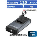 (365日発送)レッドレンザー 懐中電灯 LEDライト キーホルダー 小型 充電式 K4R Gray 502574