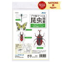 プラ板でつくる昆虫図鑑 カブトムシ クワガタ チョウチョ トンボ リアル 昆虫 マスコット ポリスチレン プラ板 工作 夏休み 自由工作 自由研究