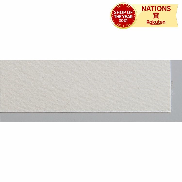 マーメイド紙 白 8切 100枚 日用品雑貨 文房具 絵具のりが良い にじみ止め 発色が良い紙 紙の表面が強く 強いタッチで描ける マーメイドリップル 丈夫