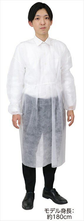 不織布ガウン白(10枚組) アーテック 使い捨て エプロン 不織布 ガウン 保護ガウン フリーサイズ 長袖 介護 介護用 清掃 調理 袖付き ディスポエプロン