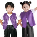 ソフトサテン ベスト C 紫 ベスト サテン 光沢生地 衣装 キッズ こども 子ども 幼児 ハロウィン 手作り キッズ コスチューム 簡単 羽織 前開き カラフル 劇 アレンジ