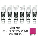 ターナー アクリルガッシュ 11ml 160ブライトマゼンダ 6個 ターナー色彩 アクリル絵具 絵の具 絵具 顔料 速乾 耐水性 マットタイプ 不透明絵具 ツヤ...