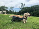 WANCORO 犬用車いす 犬用車椅子 犬用サポートカート 歩行サポート 歩行器 高さ調整可 小型犬用 リハビリ 老犬介護