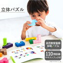 エドインター Ed.Inter 立体パズル 木のおもちゃ 木製玩具 玩具 おもちゃ オモチャ 積み木 つみき ブロック 3歳 4歳 5歳