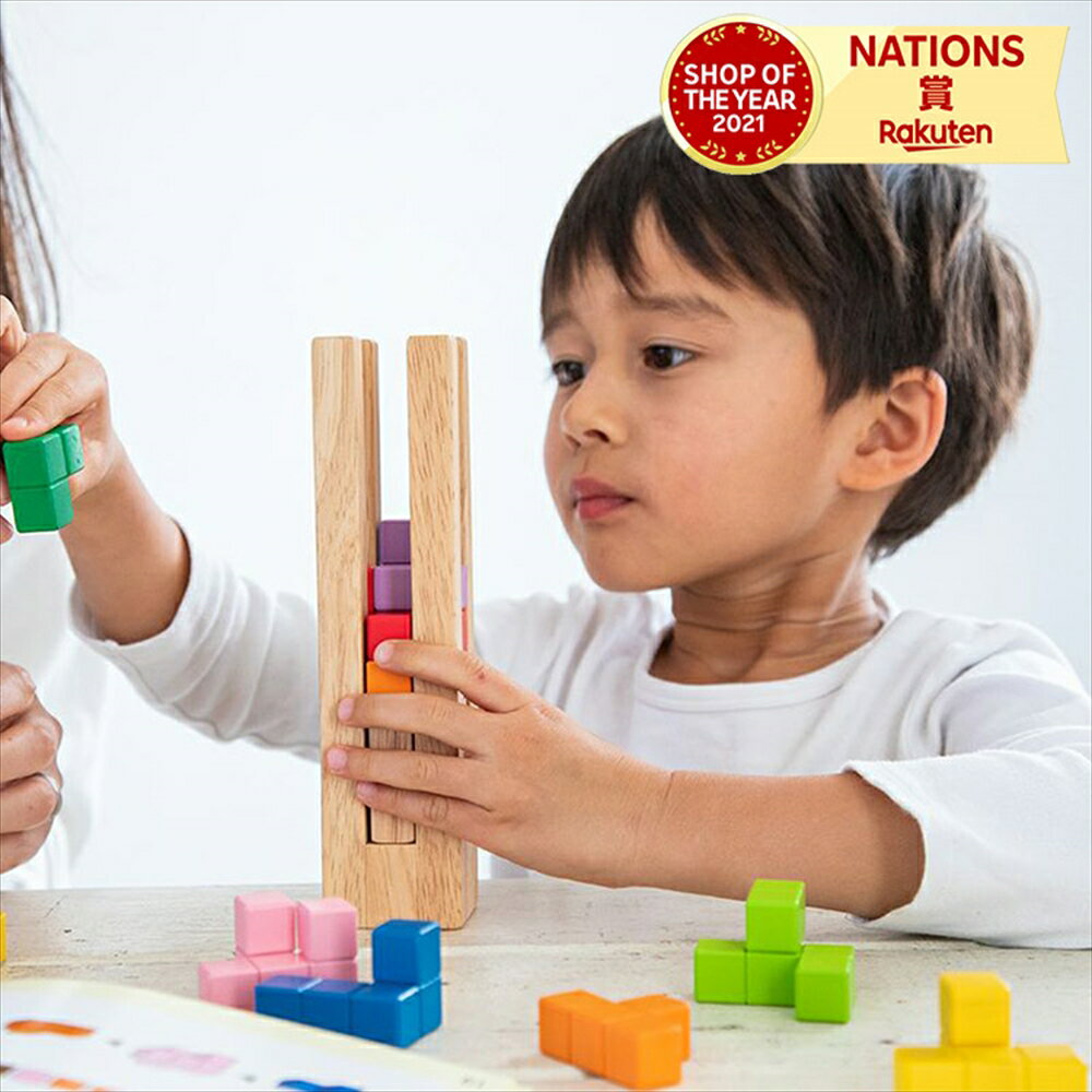 エド・インター デザインつみき エドインター Ed.Inter 育脳タワー 木のおもちゃ 木製玩具 積み木 つみき ブロック パズル 玩具 おもちゃ オモチャ 3歳 4歳 5歳