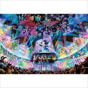 DSG-500-437 ディズニーウォータドリームコンサート ステンドアートジグソー ぎゅっとサイズ 500ピース ジグソーパズル Disney テンヨー