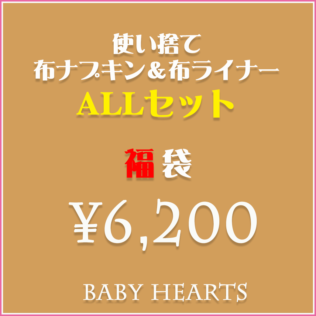 ポイント5倍↑使い捨て 布ナプキン＆布ライナーALLセット 福袋 お試し セット 布ナプキン ライナ ...