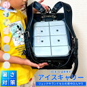 2BUY10%OFFクーポン★ ICE CARRY アイスキャリー SUO スオ アイスリング 保冷枕 保冷 熱 熱冷まし 背中パッド リュック ランドセル 涼...