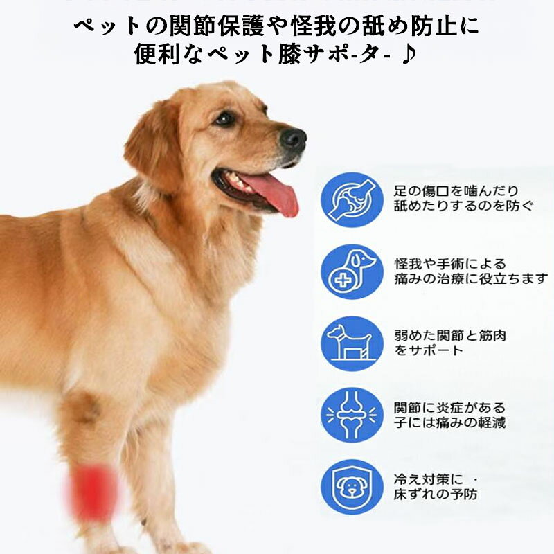 【お買い物マラソン ポイント最大 10倍UP】膝サポーター ペット 犬 ネコ 猫 手術 ...