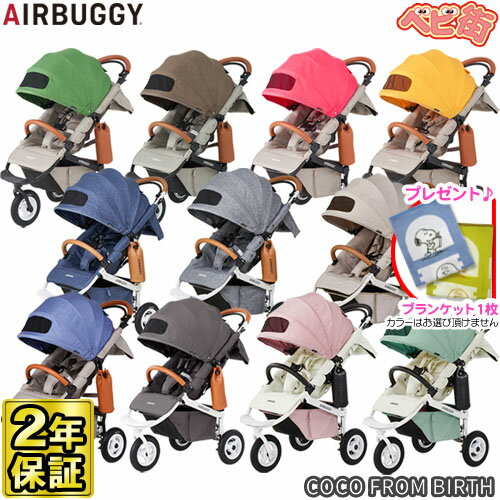 ڥץ쥼դۥ٥ӡ Х  ֥졼ǥ EX եСSPK/Air Buggy COCO FROM BIRTH Ȥ  3  GMP󥿡ʥʥ SoDo