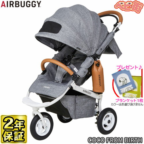 ٥ӡ Х  ֥졼ǥ EX եС[쥤]SPK/Air Buggy COCO FROM BIRTH 3 GMP󥿡ʥʥ SoDo