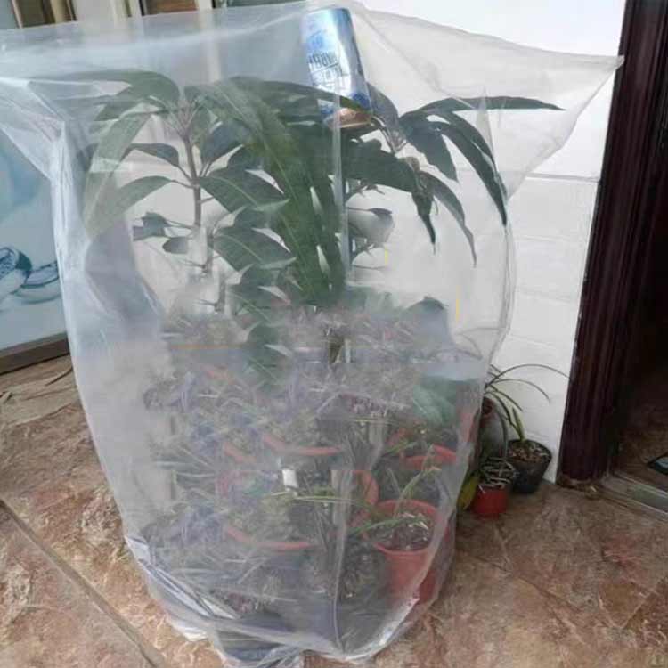透明 被せるだけ 寒さ対策 6枚組 ビニール 植物保護カバー 防虫 風よけ カット可能...