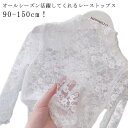 シアートップス 女の子 長袖 Tシャツ トップス チュール レース キッズ 長袖 春夏 秋 春秋 シースルー 日焼け止め 花柄 インナー ハイネック レイヤード 透け感 カットソー UVカット キレイめ 華やか 透け感 おしゃれ シースルートップス 90 100 110 120 130 140 150cm