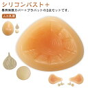 3点セット 乳がん パッド 乳がんパット 人工乳房 シリコンパッド 保護カバー ブラパット 乳癌パッド 胸パット ボディメイク 手術後 バスト補正 バストケア ...