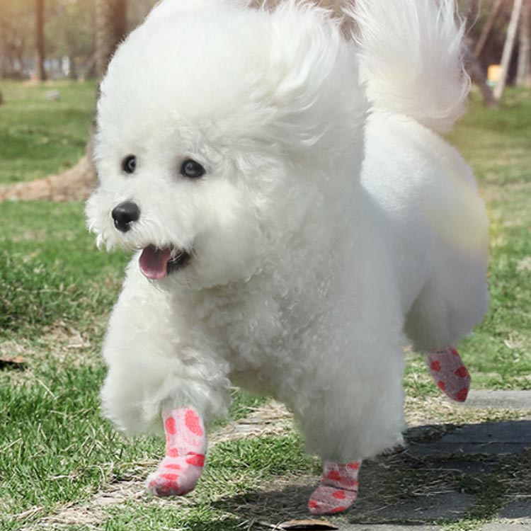 大容量セット 犬用包帯 猫用包帯 犬 猫 ペット 包帯 テーピング 犬用 猫用 柄付き...