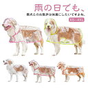 送料無料 ペットレインコート 犬 レインコート 犬カッパ 犬用レインコート 小型犬 中型犬 大型犬 柴犬 耐水性 レインポンチョ 透明な合成樹脂 風よけ 寒さ対...