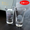 丸モ高木陶器 グラス 色が変わる 冷感グラス 冷感 花火 冷感花火 天開グラス 2個セット ペアセット 日本製