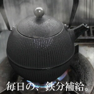 【鉄分補給に！】 南部鉄器 鉄瓶 直火 0.8L てまり 及春鋳造所 日本製