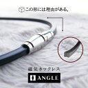 【10%OFFクーポン☆5/6迄】ANGLE e.MODEL 02 NECKLACE アングル e. モデル 02 ネックレス 医療機器 コリ緩和 肩こり 腰痛...