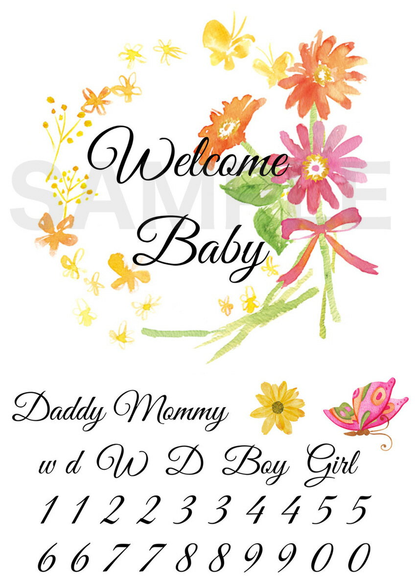 �����٥� BabyRiver Baby �ޥ��˥ƥ��ե��ȥ����� �֥��� �İ��� �ץ쥼��� £��ʪ �ޥ��˥ƥ��ڥ���ȥ����� �ޥ��˥ƥ� �ե��ȥ����� ���ȥ��������� �ܥǥ��������� �ޥ��˥ƥ������� �ޥ��˥ƥ���������