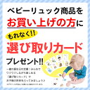 ベビー リュック 一升餅リュック 名入れ無料 1歳 誕生日プレゼント リュック リュックサック 一生餅 一升餅セット 一升餅小分け 男の子 女の子 ブランド 選び取りカード 出産祝い ベビーリュック outdoor【あす楽対応】 2