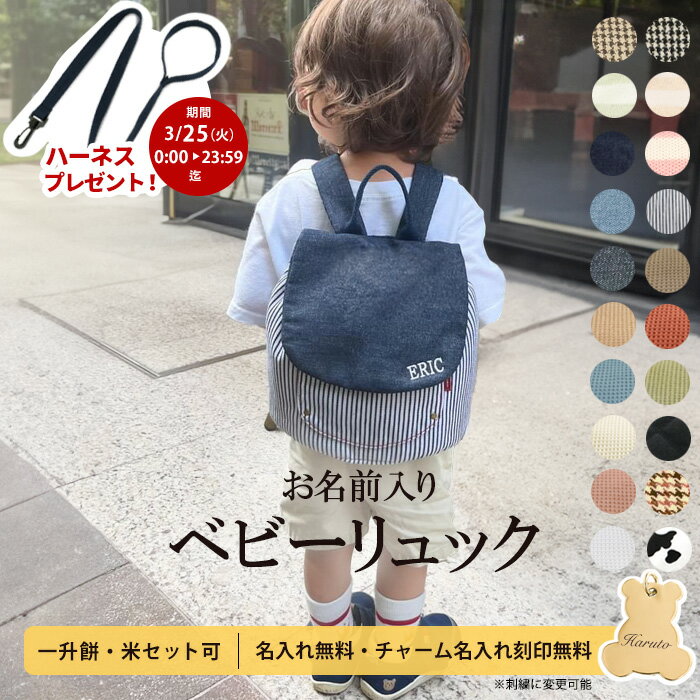 【ランキング1位】名入れ 無料 ベビー リュック 1歳 誕生日プレゼント ベビーリュック一升餅リュック 小分け 一升餅 一升米 令和6年産 コシヒカリ 選び取りカード 刺繍 ギフト 出産祝い男の子 女の子 一生餅 一生米ラッピング