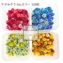 【メール便】かすみそう MIXカラー 小分け 100粒 ヘッドのみ 花材 レジン レジン封入 サシェ アロマワックス 材料 封入 素材 花素材 パーツ アクセサ...