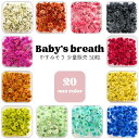【メール便】かすみそう 小分け 少量 50粒 ヘッドのみ 花材 レジン レジン封入 サシェ アロマワックス 材料 封入 素材 花素材 パーツ アクセサリ ハンド...
