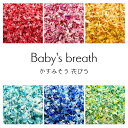【メール便】かすみそう 花びら 少量 花材 レジン ネイル レジン封入 サシェ アロマワックス 材料 封入 素材 花素材 パーツ アクセサリ ハンドメイド 便利...