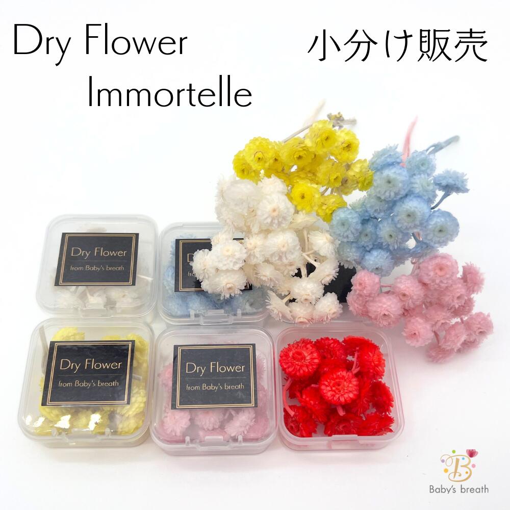 【メール便】イモーテル ドライフラワー 小分け 少量 ヘッドのみ 花材 レジン レジン封入 サシェ アロマワックス ボタニカルキャンドル 材料 封入 素材 花素材 パーツ アクセサリ ハンドメイド 便利 ドライ