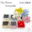 【メール便】イモーテル ドライフラワー 小分け 少量 ヘッドのみ 花材 レジン レジン封入 サシェ アロマワックス ボタニカルキャンドル 材料 封入 素材 花素...