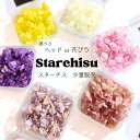 【メール便】スターチス 花びら 少量 花材 レジン ネイル レジン封入 サシェ アロマワックス 材料 封入 素材 花素材 パーツ アクセサリ ハンドメイド 便利...