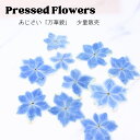 【メール便】あじさい 万華鏡 押し花 少量 花材 レジン ネイル レジン封入 サシェ アロマワックス 材料 封入 素材 花素材 パーツ アクセサリ ハンドメイド 便利 小分け