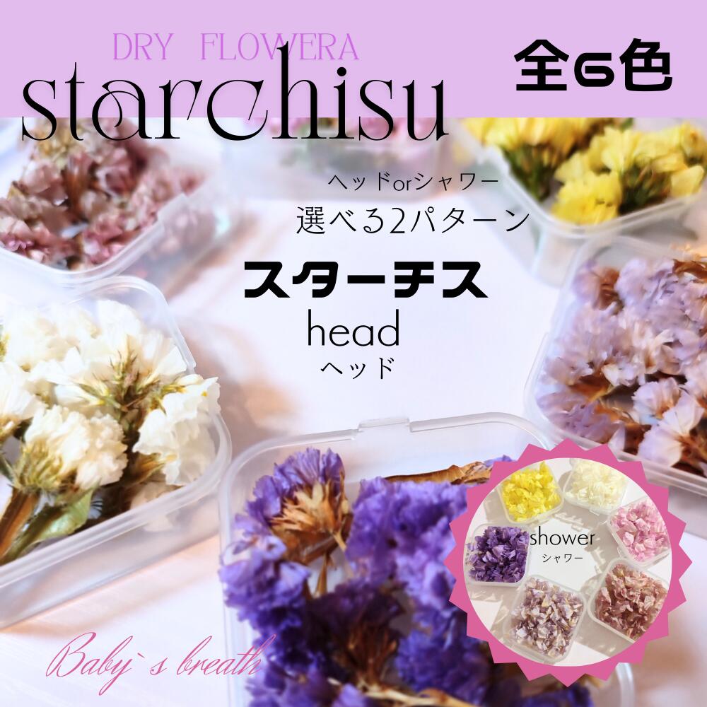 【メール便】スターチス 花びら 少量 花材 レジン ネイル レジン封入 サシェ アロマワックス 材料 封入 素材 花素材 パーツ アクセサリ ハンドメイド 便利 カスミソウ かすみ草 ドライ ドライフラワー 小分け