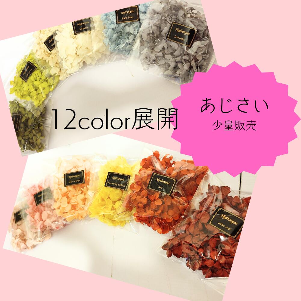 【メール便】【プリザ】あじさい 小分け 少量 ヘッドのみ 花材 レジン レジン封入 サシェ アロマワックス 材料 封入 素材 花素材 パーツ アクセサリ ハンドメイド ハンドクラフト 便利 アジサイ 紫陽花 プリザーブドフラワー