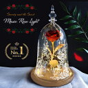 【楽天1位】魔法の薔薇のライト Beast and the Beauty light ローズドーム ガラスドーム 美女 野獣 ガラス製 LED 電池式 デコレーション 光る インテリア 照明 ライト ランプシェード ランプ 魔法のバラ ウエディング プレゼント クリスマス 誕生日 結婚式 宅急便送料無料