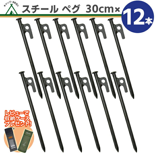 【楽天1位】スチール ペグ 30cm【12本】高強度 引き抜き穴付き ペグスチール テント タープ 設営 キャンプ アウトドア 家族 イベント DIY 土 砂地...