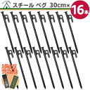 【楽天1位】スチール ペグ 30cm【16本